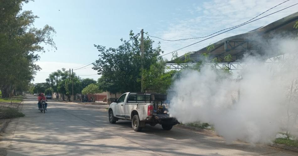 Calidad de Vida de la Capital comunicoacute como seraacute el cronograma de fumigaciones preventivas de esta semana