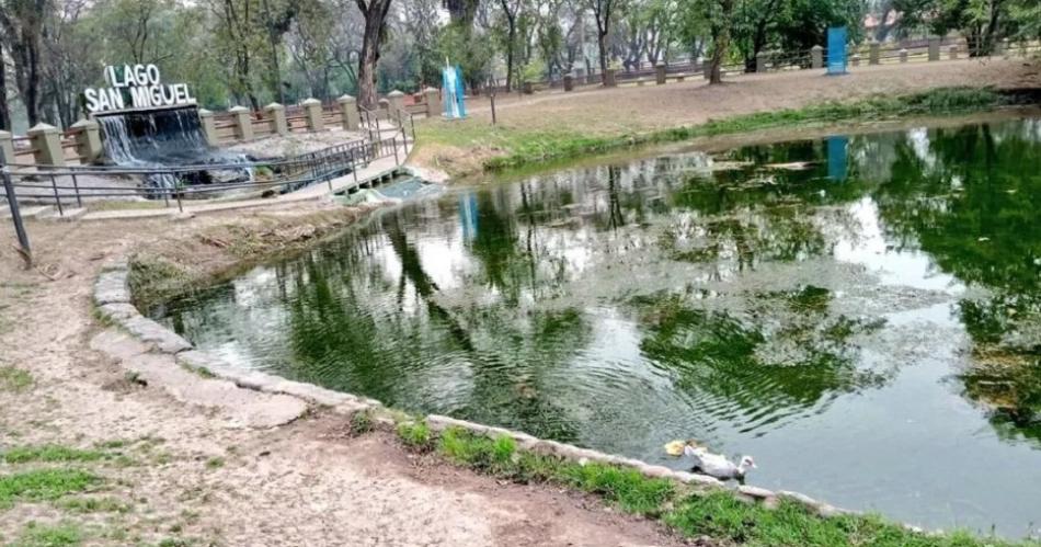 VIDEO Roboacute un ganso y lo cocinoacute en medio del Parque 9 de Julio