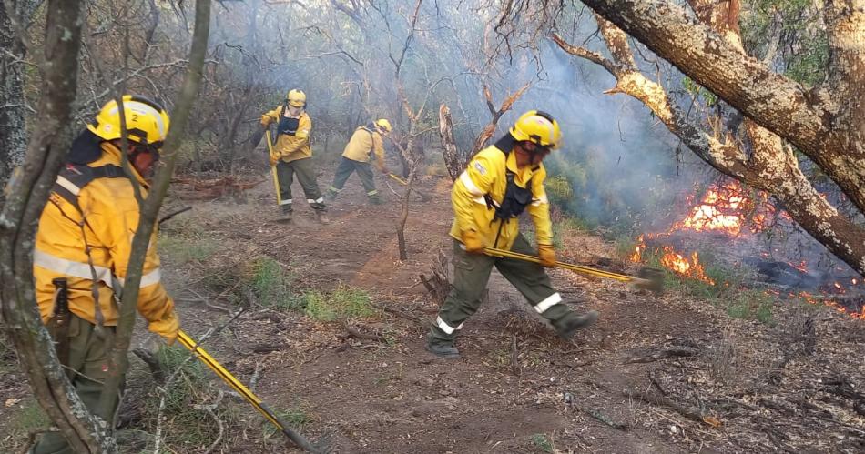 FOTOS- brigada lucha contra incendio forestal en Rubia Paso continuacutean los trabajos