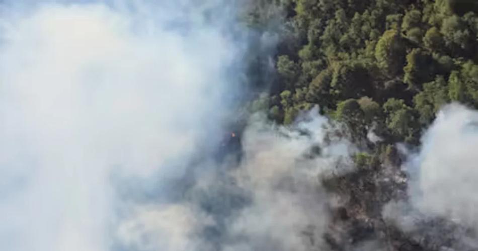 Bariloche en alerta- el incendio estaacute fuera de control y ya se consumieron maacutes de 4400 hectaacutereas de bosque