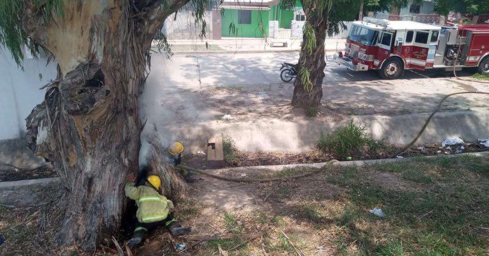 Bomberos sofocaron principio de incendio en el barrio Tarapaya