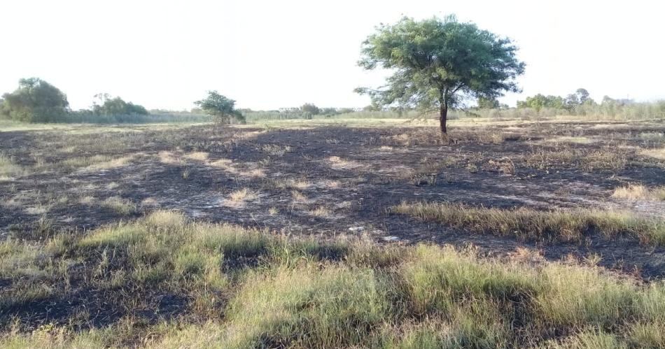 Momentos de tensioacuten por incendio de pastizales en varios puntos de la ciudad