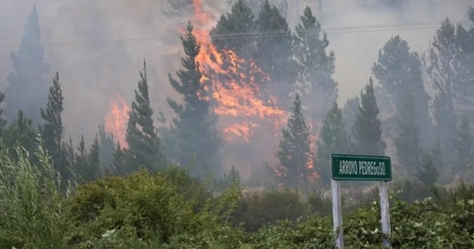 Incendio en Epuyeacuten- maacutes de 3 mil hectaacutereas afectadas y 200 familias evacuadas