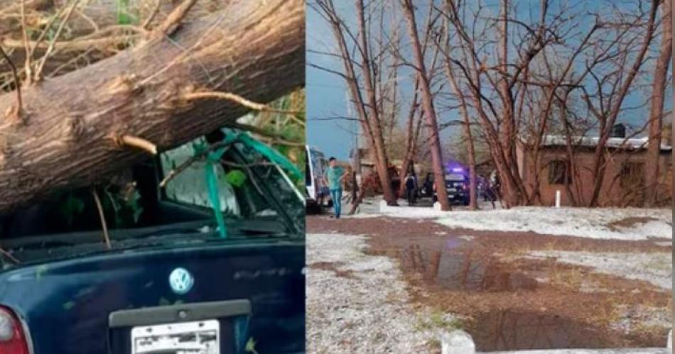 Quiso proteger su auto del granizo y murioacute aplastado por un aacuterbol