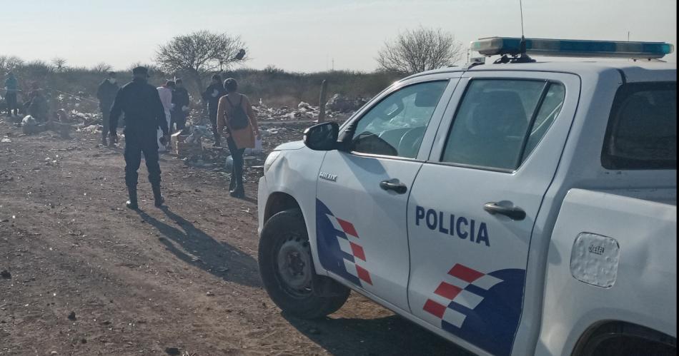 Una mujer denuncioacute una masiva matanza de ovejas en su propiedad