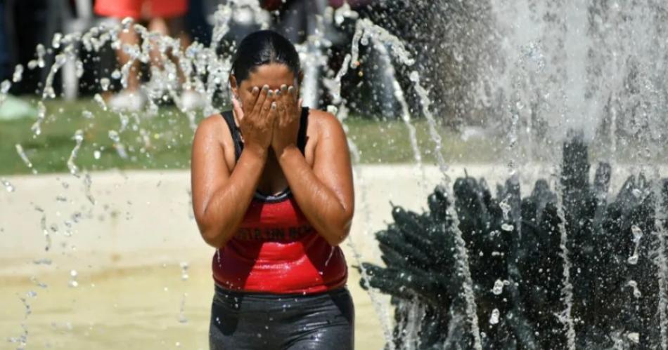 El sistema eleacutectrico del NOA y NEA entroacute en estado criacutetico ante la impiadosa ola de calor