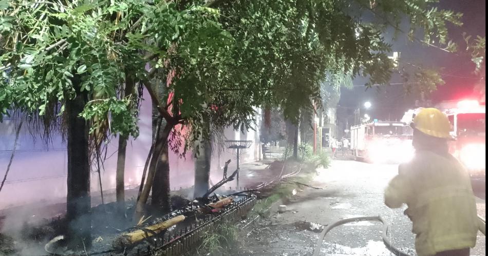 Susto en zona norte- se incendiaron tres palmeras y alcanzaron los cables