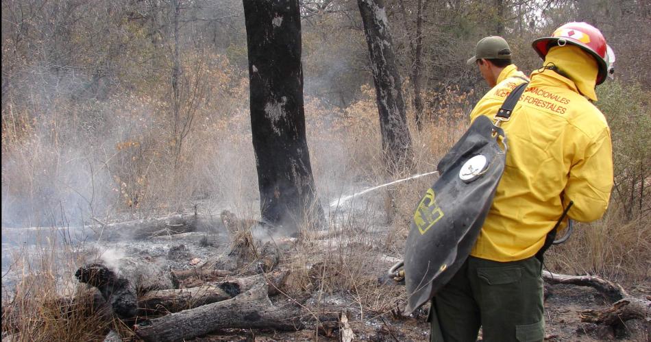 Esta ola de calor nos pone en riesgo de tener incendios forestales tambieacuten en la provincia