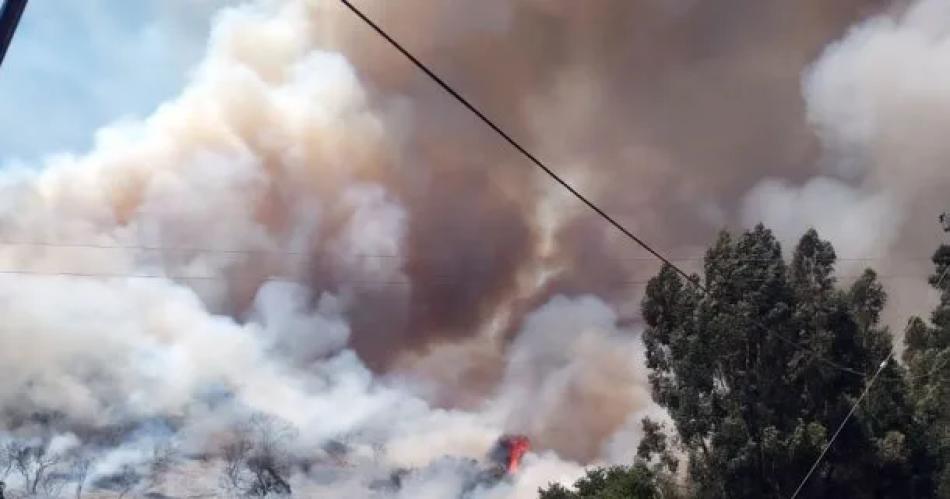 En el Congreso presentaron un proyecto para endurecer las penas por incendios intencionales