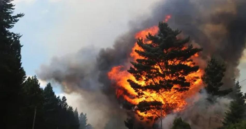 En el Congreso presentaron un proyecto para endurecer las penas por incendios intencionales