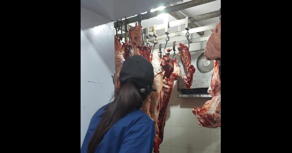 Detectan centro de faena y venta clandestina y secuestran casi dos toneladas de carne dudosa