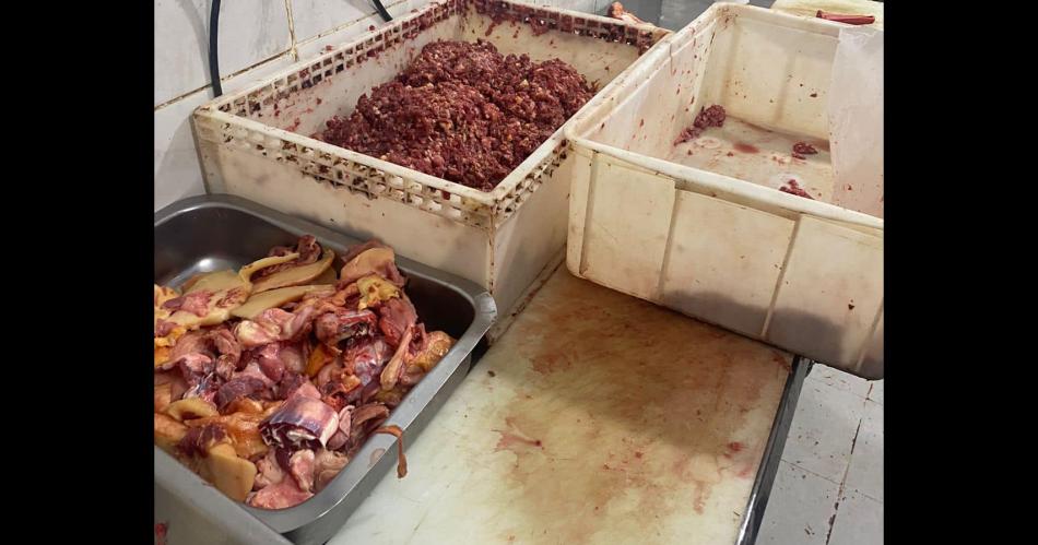 Descubren en una carniceriacutea de Capital maacutes de una tonelada de carne en dudoso estado para la venta