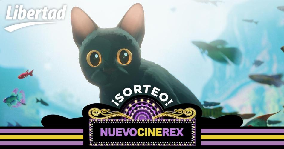 iexclEL LIBERAL te regala entradas para el Nuevo Cine Rex