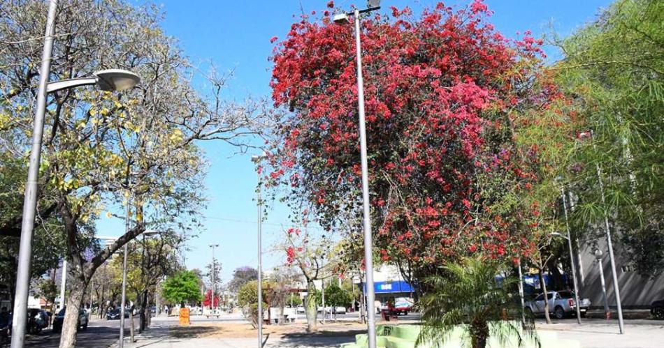 Viernes caacutelido en Santiago del Estero- se esperan maacuteximas de hasta 35degC