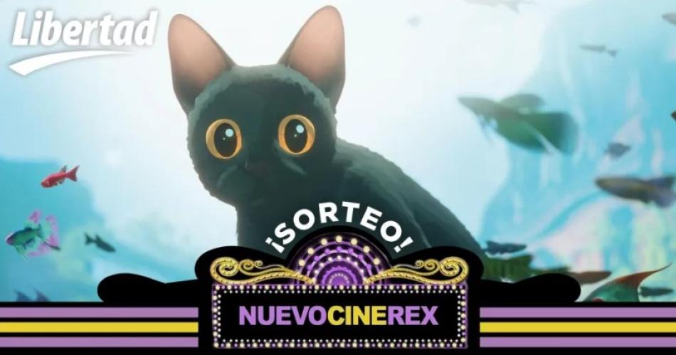 Estos son los ganadores de las entradas para el Cine Rex