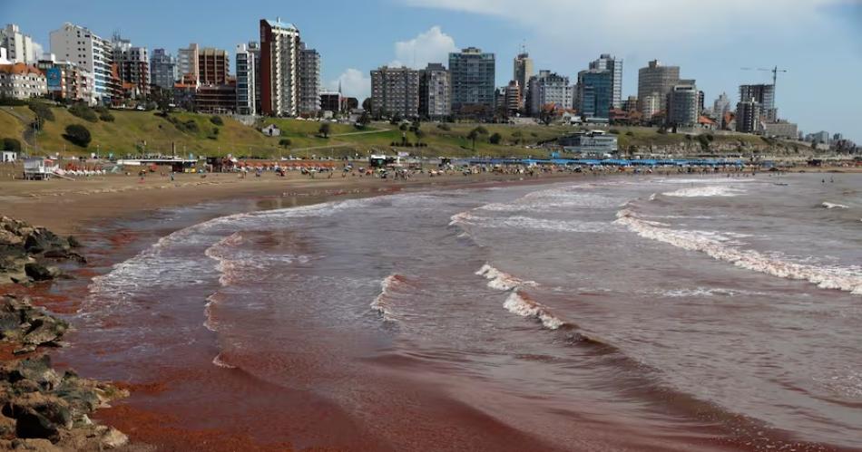 En la Costa Atlaacutentica el mar se tintildeoacute de rojo- iquestCuaacutel es el motivo