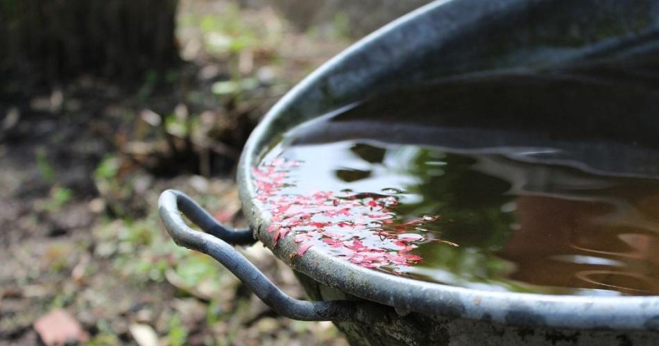 Piden reforzar cuidados contra el dengue luego de las lluvias