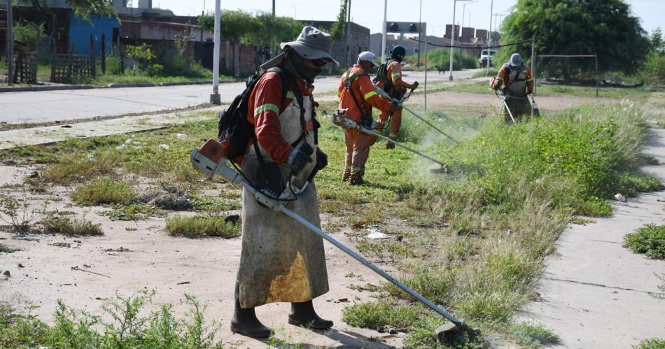 Servicios Urbanos de la Capital trabajó en el desmalezamiento del paseo Primero de Mayo (Foto- Municipalidad de la Capital)