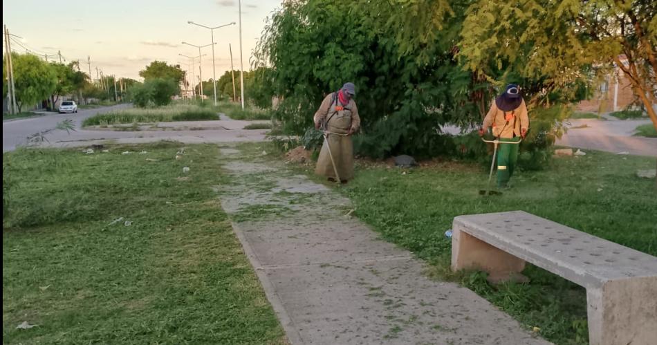 Con fines saludables y de esteacutetica se intensifican las tareas de limpieza en toda la ciudad