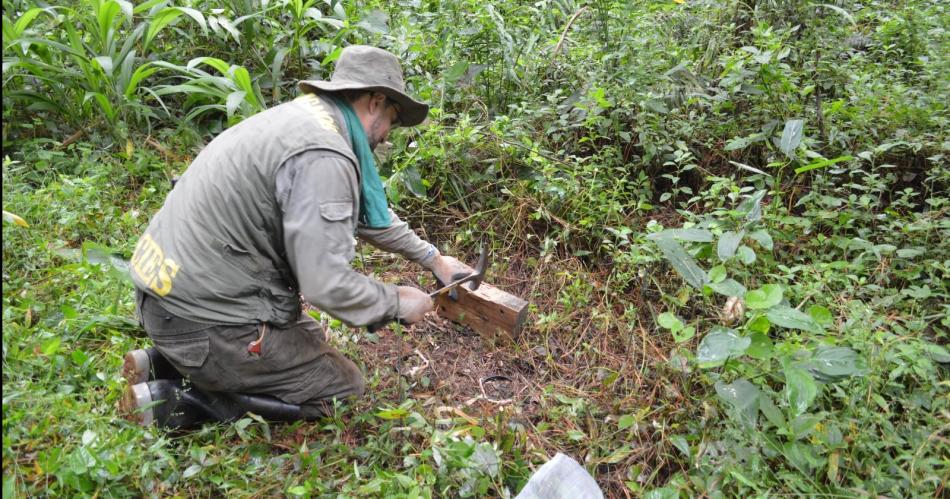 Abren la convocatoria para cursar posgrados en Ciencias Forestales