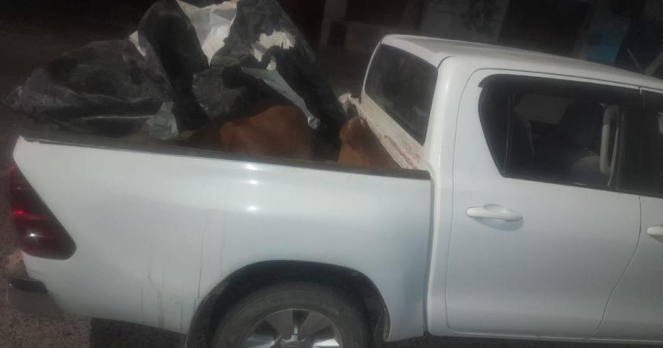 Persecucioacuten policial- transportaba animales vacunos en una camioneta y no pudo justificar su procedencia