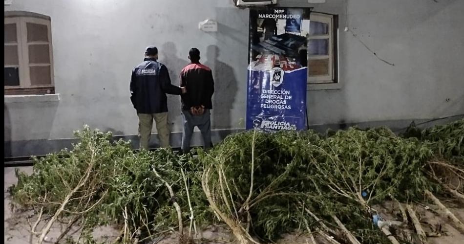 La Policía halló una plantación de cannabis (Foto- Policía de la Provincia)