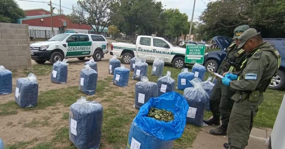 564 kilos de hojas de coca (Foto- Gendarmería)