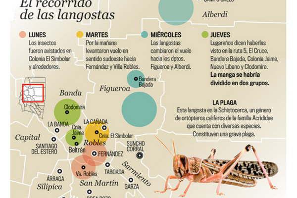 diagrama del ciclo de vida de la langosta