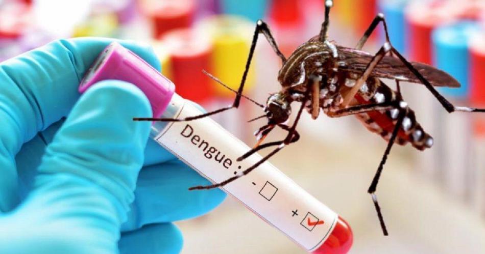 Histórico brote de dengue: son 129 los muertos y hay más de 180 mil ...